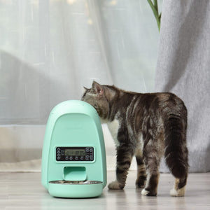 2 Liter Mini Programmable Feeder & 1 Liter Mini Fountain Bundle for Dogs and Cats
