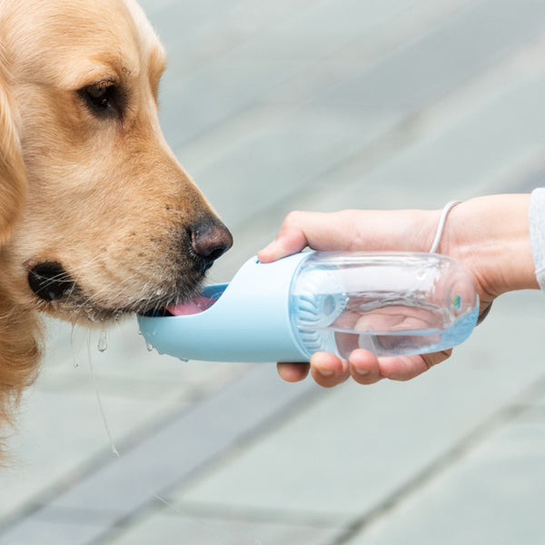 Stay Hydrated: Why a Travel Water Bottle is Essential for Your Pet During Spring and Summer Adventures