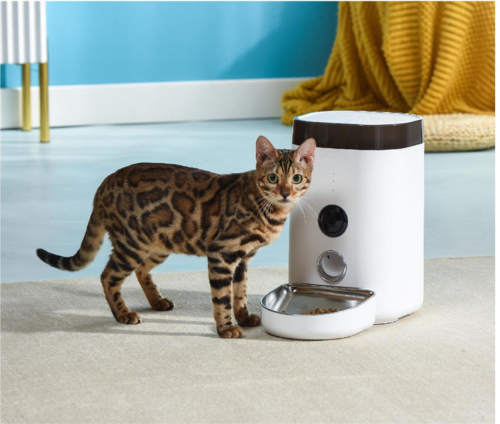 Meeting the Diverse Needs of Pet Owners with Automatic and Smart Pet Feeders