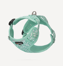 Load image into Gallery viewer, DOGNESS Printing Series - Printing Harness and Leash Sets