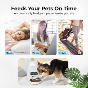 DOGNESS 2L Programmable Automatic Pet Feeders for Cat  Portion Control 1-4 Meals per Day