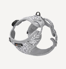 Load image into Gallery viewer, DOGNESS Printing Dog Harness Reflective No-Pull Adjustable Vest for Walking, Training, Breathable