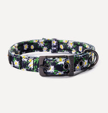 Load image into Gallery viewer, DOGNESS Printing Collar - Pattern Dog Collar, Polyester Webbing, Soft and Comfortable
