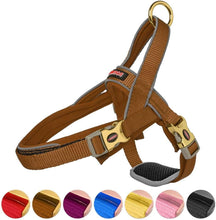 Load image into Gallery viewer, DOGNESS Reflectiv Dog Halter Harness Adjustable Harness for Small Medium Large Dogs
