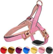 Load image into Gallery viewer, DOGNESS Reflectiv Dog Halter Harness Adjustable Harness for Small Medium Large Dogs