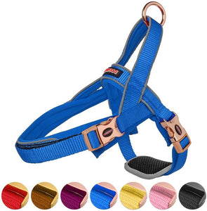 DOGNESS Classic Harness and Leash Sets Adjustable Lengths Soft Cotton