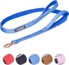 Load image into Gallery viewer, DOGNESS Classic Double Handle Dog Leash Soft Padded Reflective Nylon