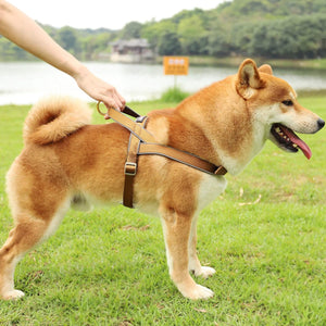 DOGNESS Reflectiv Dog Halter Harness Adjustable Harness for Small Medium Large Dogs