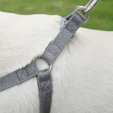Load image into Gallery viewer, DOGNESS Comfortable Harness and Leash Sets Adjustable Lengths Soft Eco-Friendly Cotton