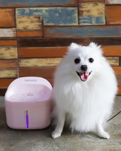 DOGNESS 2L/67oz Automatic Cat Water Fountain  Electric Pet Water Bowl for Dogs Cats