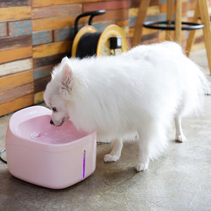 2L Automatic Pet Fountain - DOGNESS Group