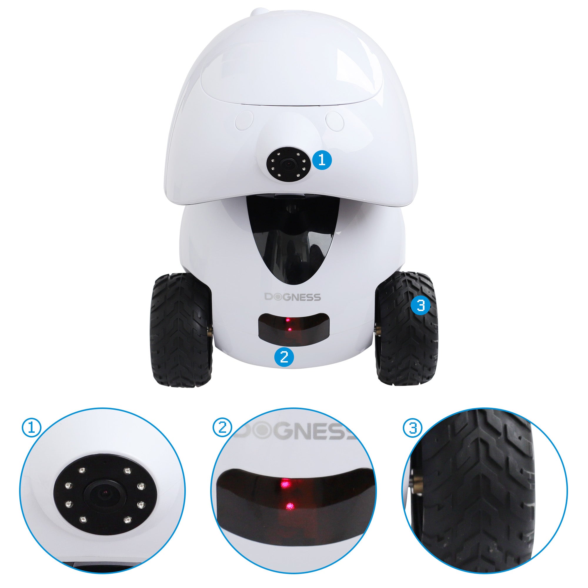 Intelligent Pet Robot for Walk Your Dogs Wide - Angle Camera Dog