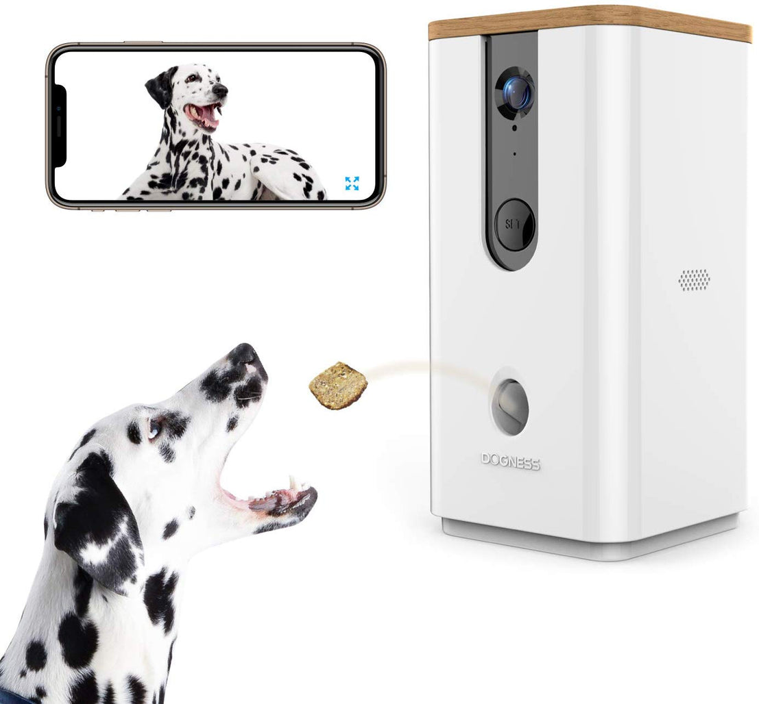 Dog monitor 2025 with treat dispenser