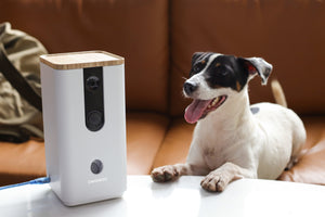 DOGNESS Wi-Fi Pet Camera with Treat Dispenser for Dogs and Cats Pet Monitor(OPEN BOX)