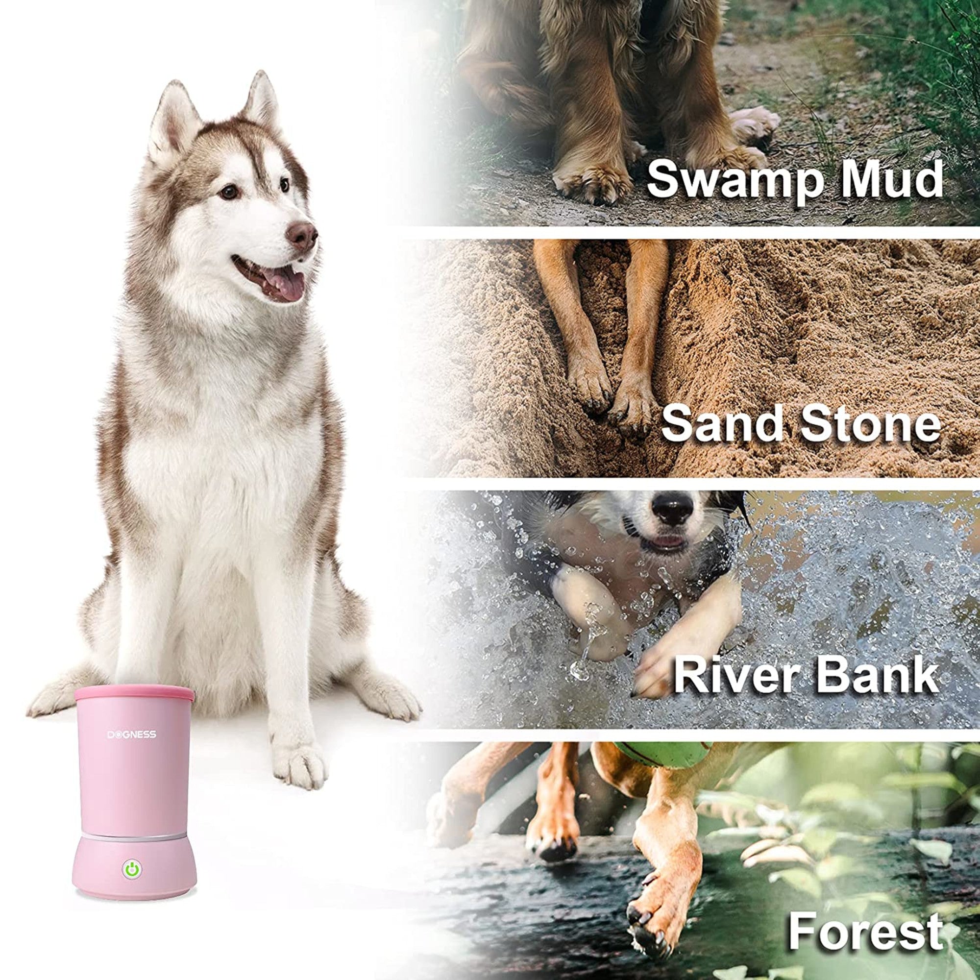 Automatic Dog Paw Cleaner, Dog Paw Washer for Small and Medium-Sized D –  The Pet Warehouses Corp