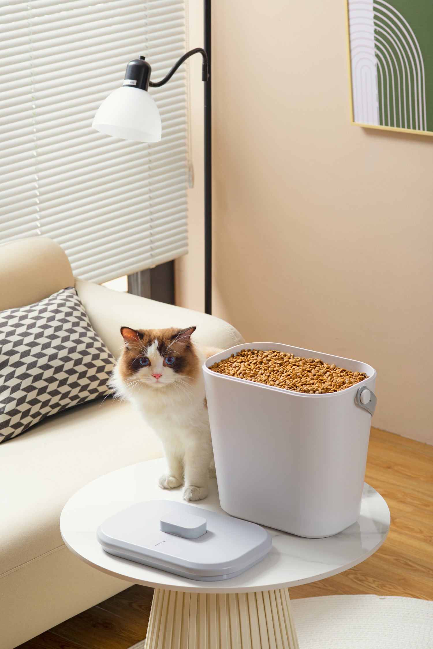Pet Food Storage Container, Sealed, Moisture Proof, Large Capacity,  Suitable For Cats And Dogs
