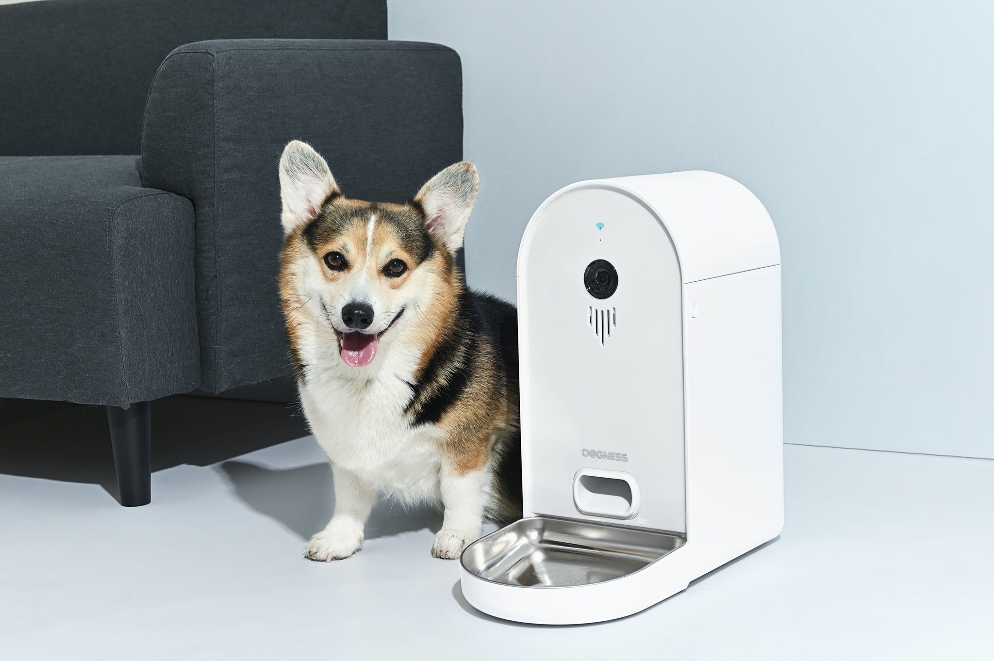 Dogness Smart Cam Treat Dispenser Automatic Feeder & Reviews