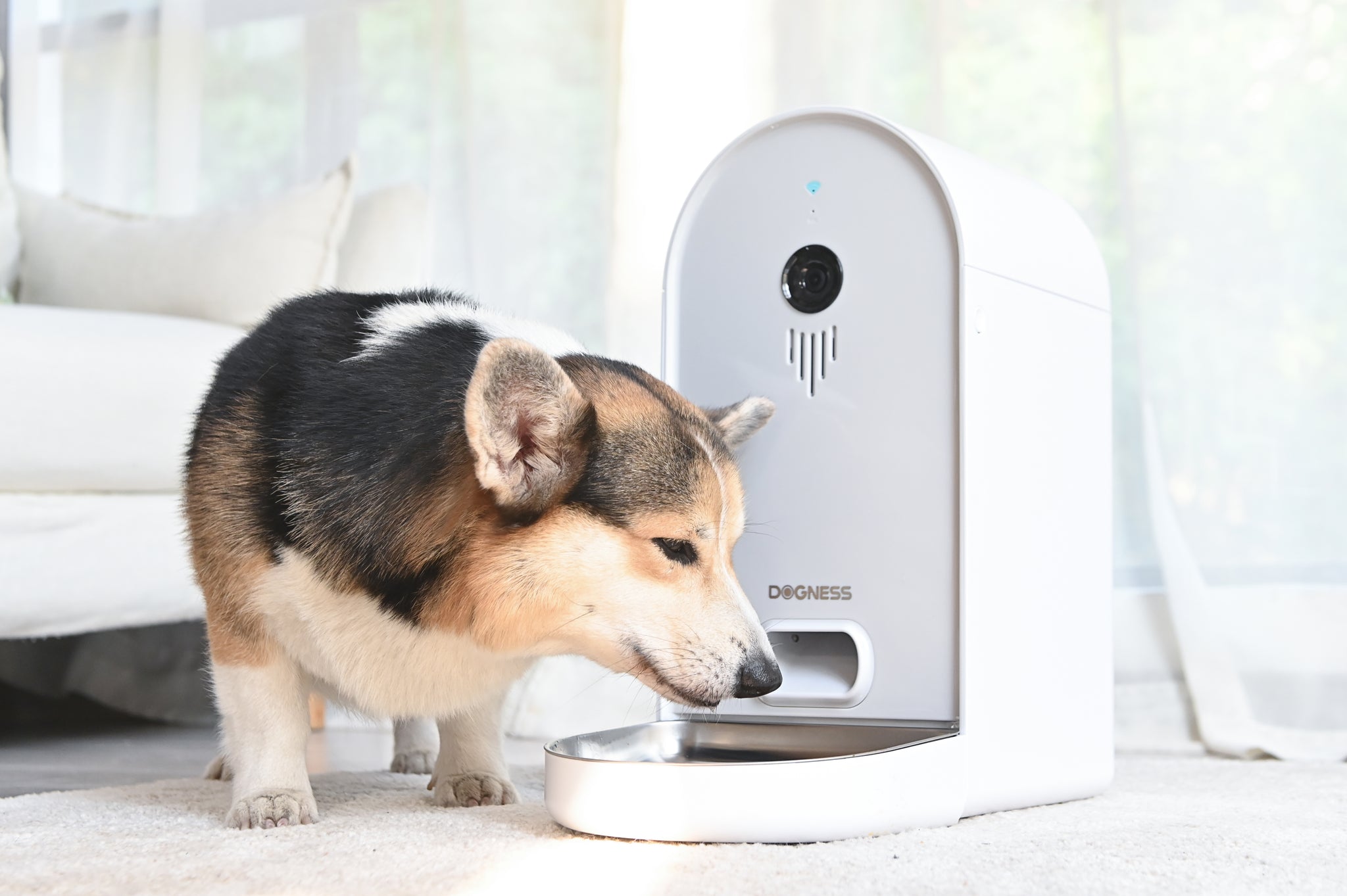 DOGNESS Automatic Wide View Smart Camera Dog Cat Feeder - 4L Large Cap