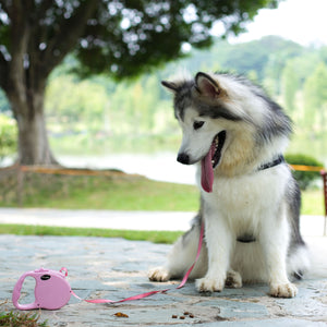 Modern Retractable Leash - DOGNESS Group