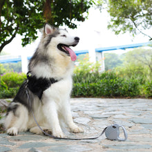 Load image into Gallery viewer, Modern Retractable Leash - DOGNESS Group